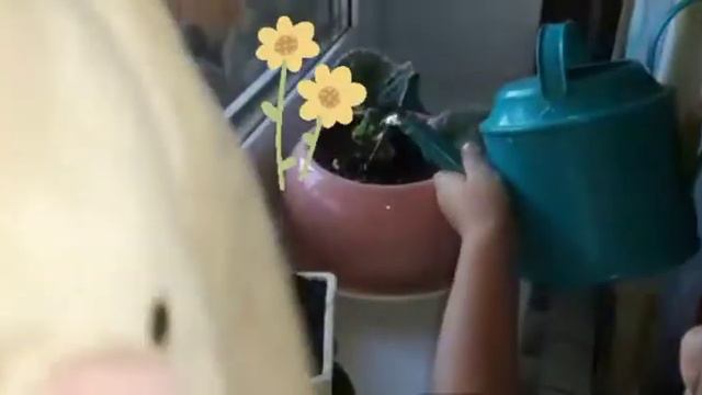 София поливает цветы. Sophia is watering the flowers 🌷🌷 смотреть онлайн