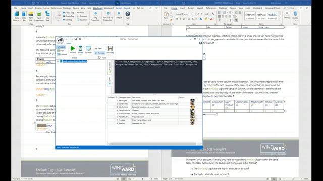 Windward Studios Report Designer Intermediate Training November 20, 2019 смотреть онлайн
