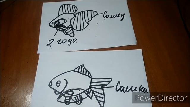 Определение пола у залатых рыбок смотреть онлайн