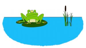 Мультик - Раскраска. Учим Цвета. - Краб, Лягушка. Дельфин.