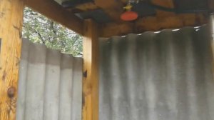 Летний душ своими руками!!