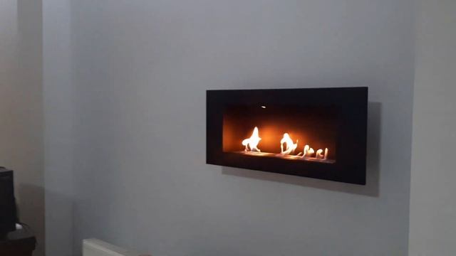 БИОКАМИН. Что это? Настоящий огонь! смотреть онлайн