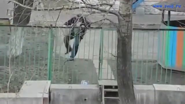 Такое из окна не часто увидишь!!! смотреть онлайн