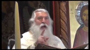 СТАРЕЦ ЭЛПИДИЙ О НАШИХ И ГРЯДУЩИХ ДНЯХ