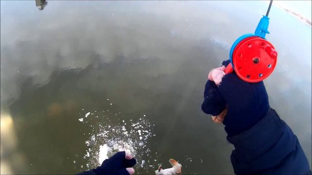 Открытие 29,11 зима 2015 2016 смотреть онлайн