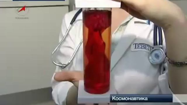 К чему приводит нехватка Мелатонина - YouTube.flv смотреть онлайн