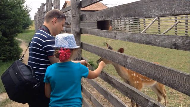 ГУЛЯЕМ В ПАРКЕ, КАТАЕМСЯ НА КАТАМАРАНЕ // смотреть онлайн