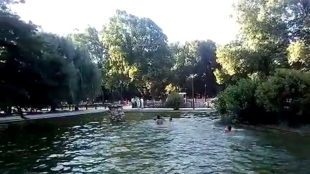 Сити-менеджер Симферополя Демидов организовал открытый бассейн для подростков? смотреть онлайн