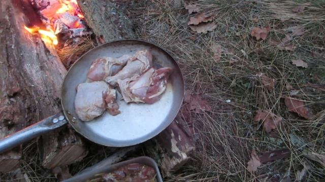 Радиосвязь на КВ с опушки леса на несимметричный диполь 42м. Готовим курицу в медовом маринаде смотреть онлайн