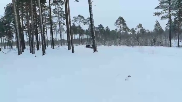 Мотособака Мужик едем на охоту на буксировщике смотреть онлайн