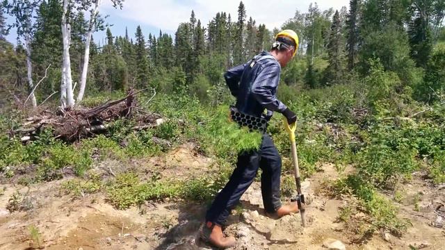 Посадка ёлок. Reboisement смотреть онлайн