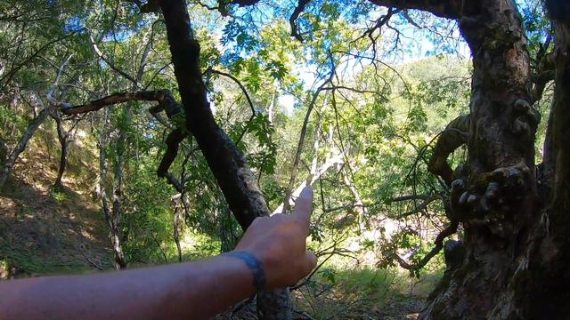Mt. Diablo Cave Explore , HuntingThe Underworld- Details Of The Quest #91 By : Quest For Details смотреть онлайн