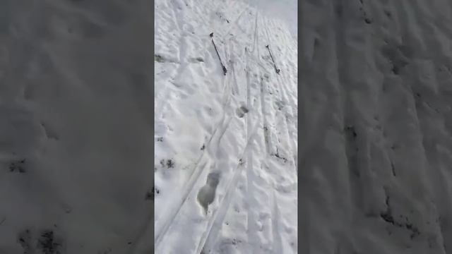 Обзор на лыжи смотреть онлайн