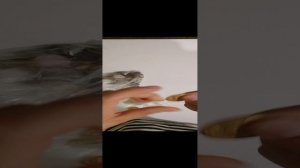 VID_20240830_220913.mp4