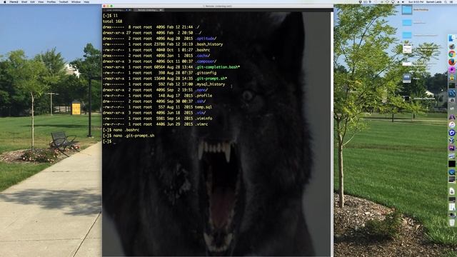 My PS1 Command Prompt Enhansing Git Repos смотреть онлайн