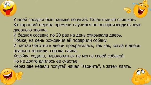 Анекдот про талантливого попугая смотреть онлайн