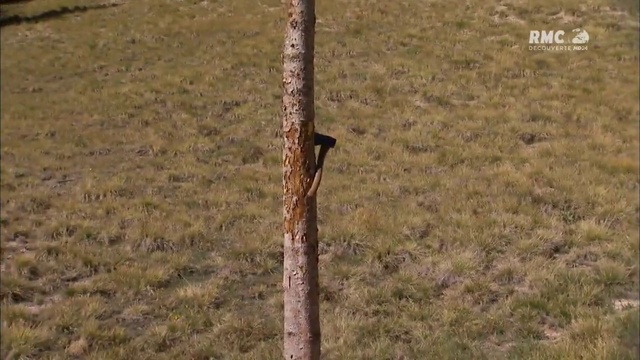 4864531321 смотреть онлайн