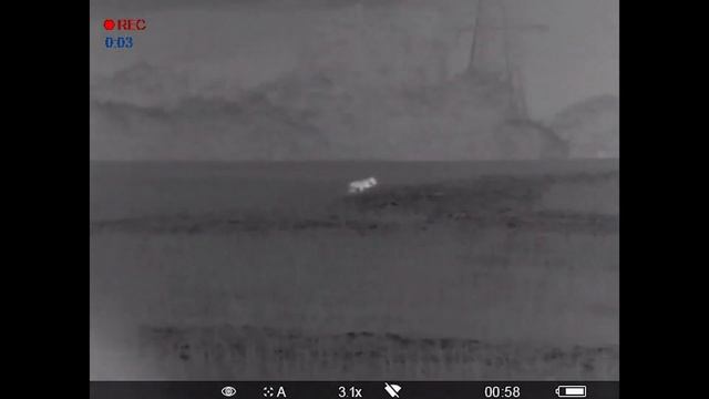 Pulsar Helion XQ and XP Thermal Imaging at Scott Country International смотреть онлайн