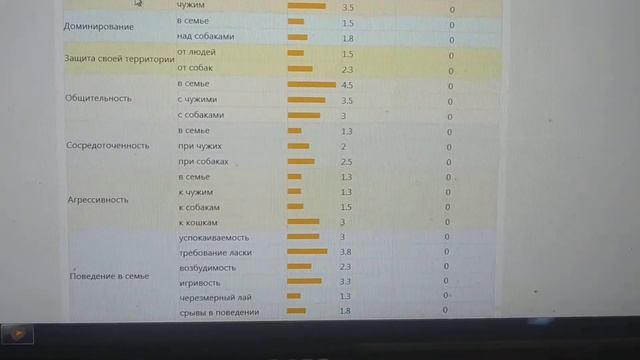 Смотри обзор характера борзой. Сравнение русской борзой с афганом, салюки и немецкой овчаркой. смотреть онлайн