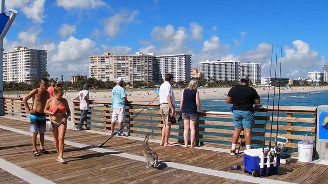 Pompano Beach Florida Walking Tour смотреть онлайн