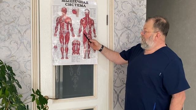 Почему болит поясница и ноги. С чем связаны боли в пояснице. Принципы действенной самопомощи смотреть онлайн