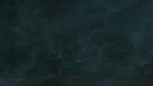 Прохождение игры Гарри Поттер и кубок огня :Часть 4 Запретный лес смотреть онлайн