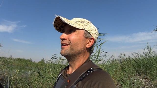 Охота на уток с подхода смотреть онлайн