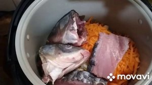 Уха из голов карпа/Ear from carp heads ???