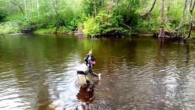 Рыбалка - нахлыст щука смотреть онлайн