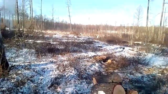 2022год Опять в лес по дрова!!! смотреть онлайн