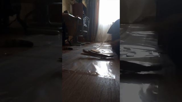 Я сделал каток из клеенки и средства для мытья посуды дома!!! смотреть онлайн