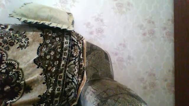 Видео с веб-камеры. Дата: 4 сентября 2014 г., 6:36. смотреть онлайн