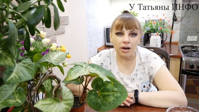 ✔️ ВНЕСИТЕ ПОД ЛЮБОЙ КОМНАТНЫЙ ЦВЕТОК, и он позеленеет и оживет!!! смотреть онлайн