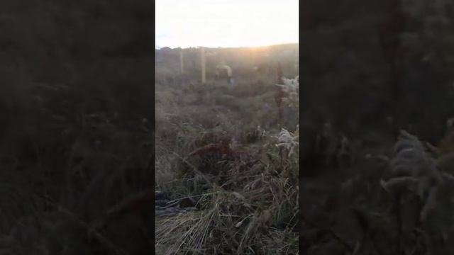 Трассоискатель CAT 3 смотреть онлайн