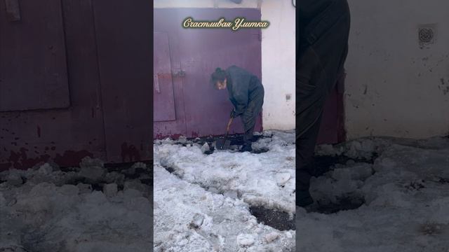 Спортзал смотреть онлайн