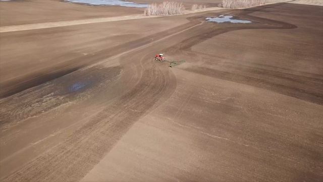 БМШ смотреть онлайн