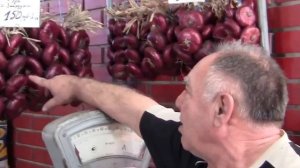 Ялтинский лук в Средней полосе (дополнено)