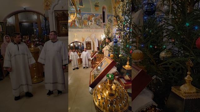 07.01.2023г. Игумен Феофан (Замесов) о таинстве Причастия смотреть онлайн