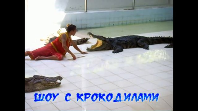 Экзотический Тайланд. смотреть онлайн