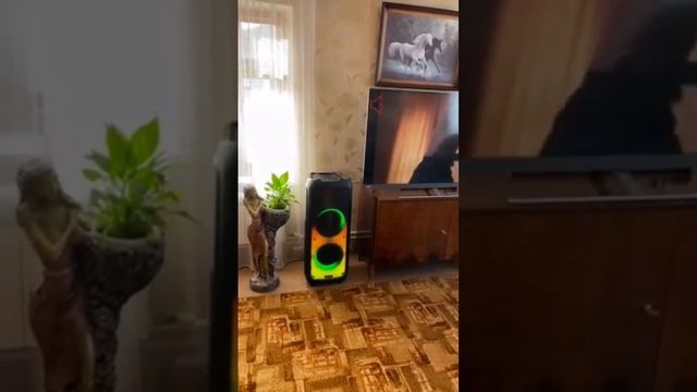 отзыв от Павла из Саранска Eltronic 20-53 Fire Box 1200 смотреть онлайн