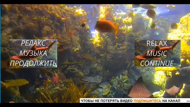 МУЗЫКА ДЛЯ СНА КАНАЛ ЙКЙЯМ 5 смотреть онлайн