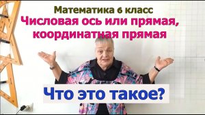 Числовая ось, числовая прямая, координатная прямая. Математика 6 класс