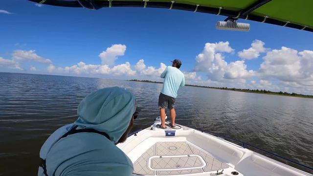 Building the MOST EXPENSIVE In-Shore Fishing Combo at Bass Pro CHALLENGE (NEW PB) смотреть онлайн