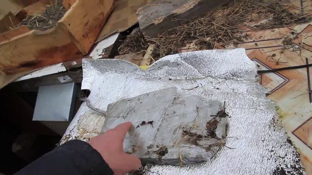 Маточник, клетка, подогрев смотреть онлайн