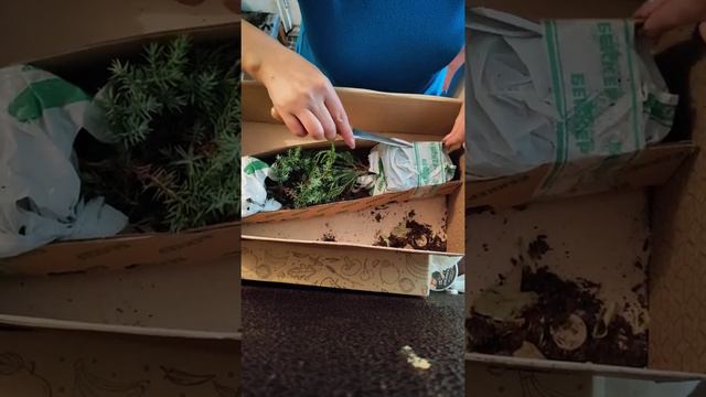Bekker.kz Распаковка смотреть онлайн