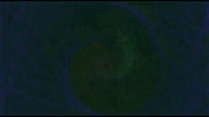 П П Гаряев Антипаразитарная программа Универсальная матрица Полная версия