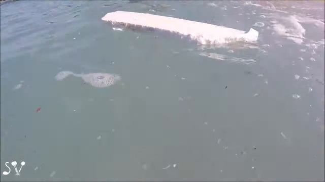 How you are responsible for killing sea life / Пожалейте морских черепах! смотреть онлайн