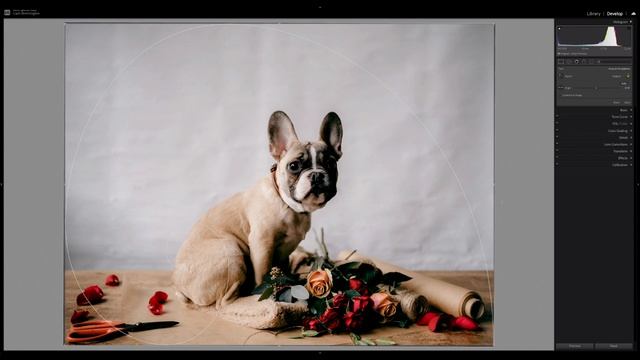 QUICK TIP - CROP TOOL SHORTCUTS