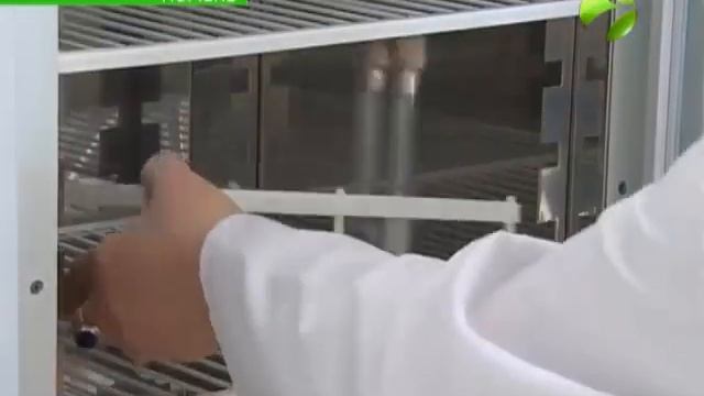 Ученые предупреждают. Темпы загрязнения Оби велики смотреть онлайн