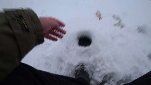 Клюёт на каждом опускании мормышки! Зимняя рыбалка 2020 смотреть онлайн